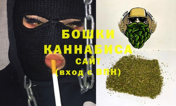 шишки Тобольск