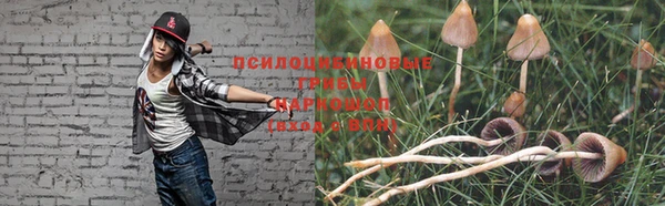 MESCALINE Тында