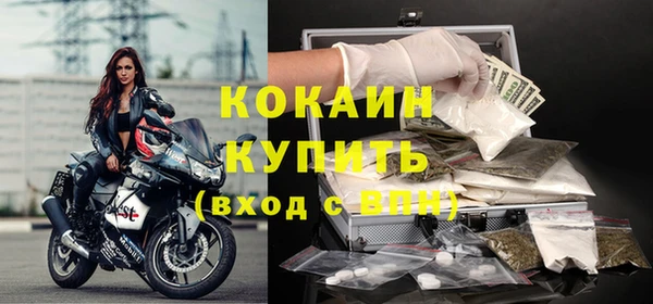 шишки Тобольск