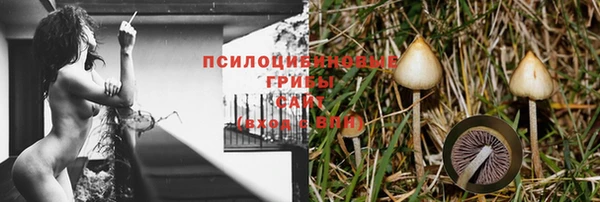 ALPHA PVP Тутаев