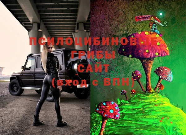 спиды Тихвин