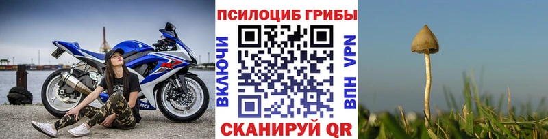 Купить закладки  Балашов  Псилоцибиновые грибы прущие грибы 